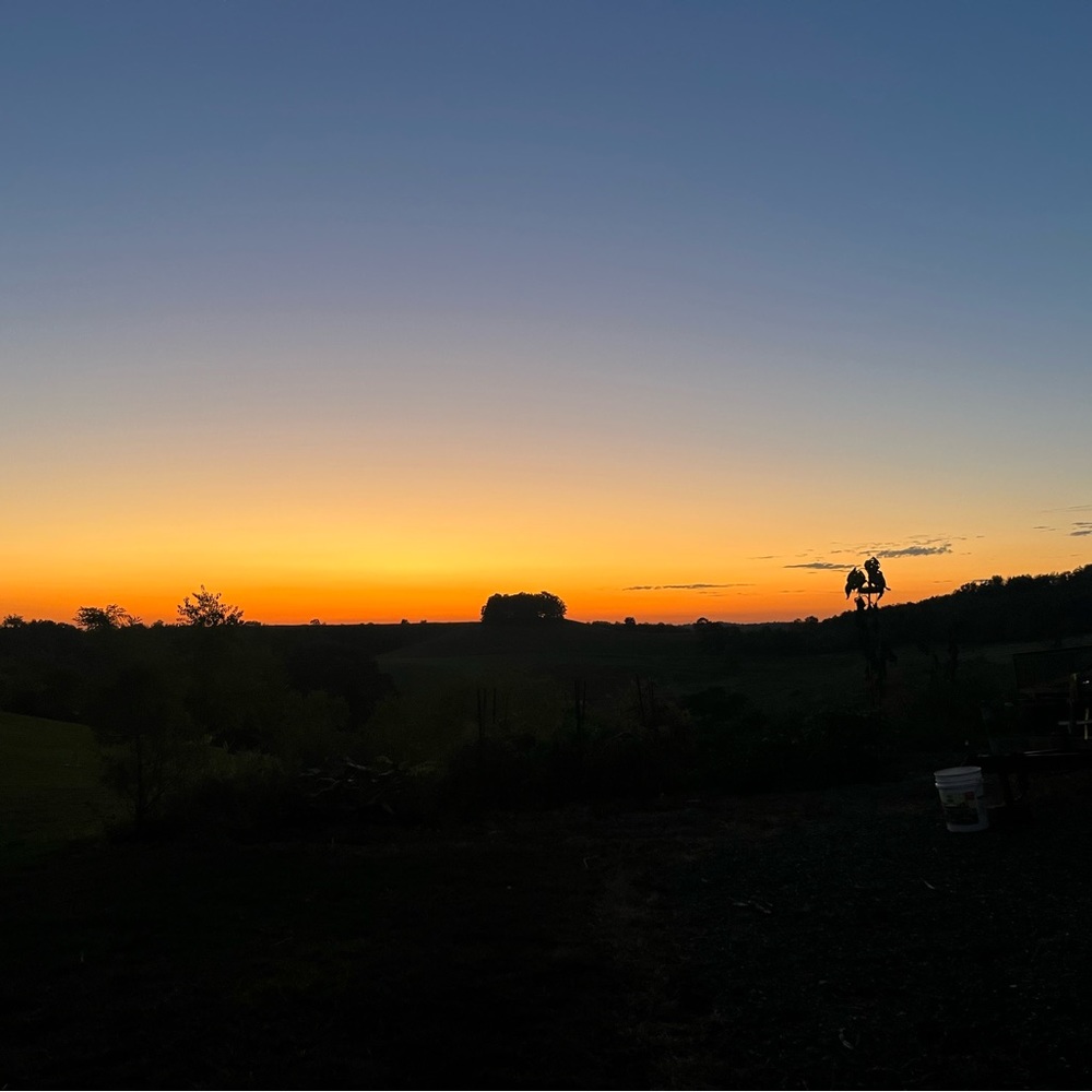 Meet your Posher, Mykaela